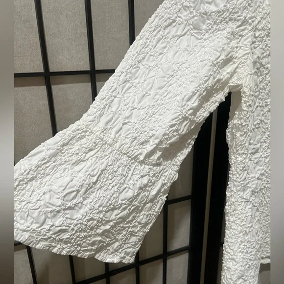 White Textured Button-Up Blouse BY GO SILK, WOMEN SIZE 2X - Picture 6 of 9